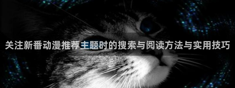 国产动漫推荐：关注新番动漫推荐主题时的搜索与阅读方法与实用技巧