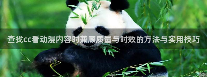 治疗师动漫：查找cc看动漫内容时兼顾质量与时效的方法与实用技巧