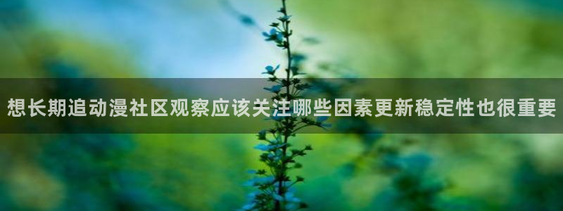 国产动漫推荐排行榜：想长期追动漫社区观察应该关注哪些因素更新稳定性也很重要