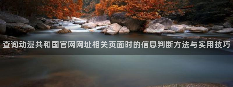 漫岛动漫：查询动漫共和国官网网址相关页面时的信息判断方法与实用技巧