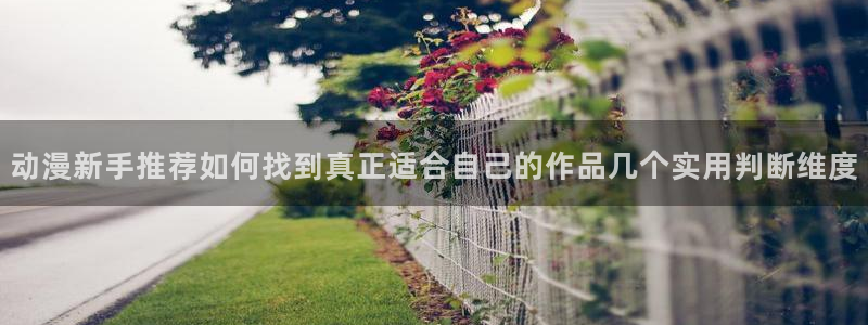 动漫overflow：动漫新手推荐如何找到真正适合自己的作品几个实用判断维度