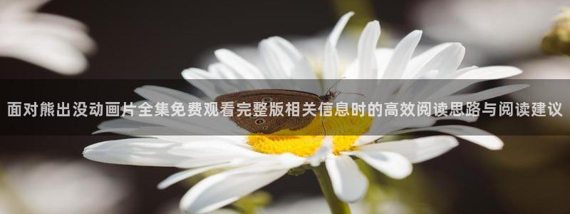 免费观看动漫的网站：面对熊出没动画片全集免费观看完整版相关信息时的高效阅读思路与阅读建议
