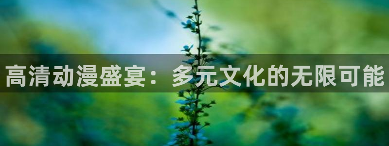 国产动漫推荐：高清动漫盛宴：多元文化的无限可能